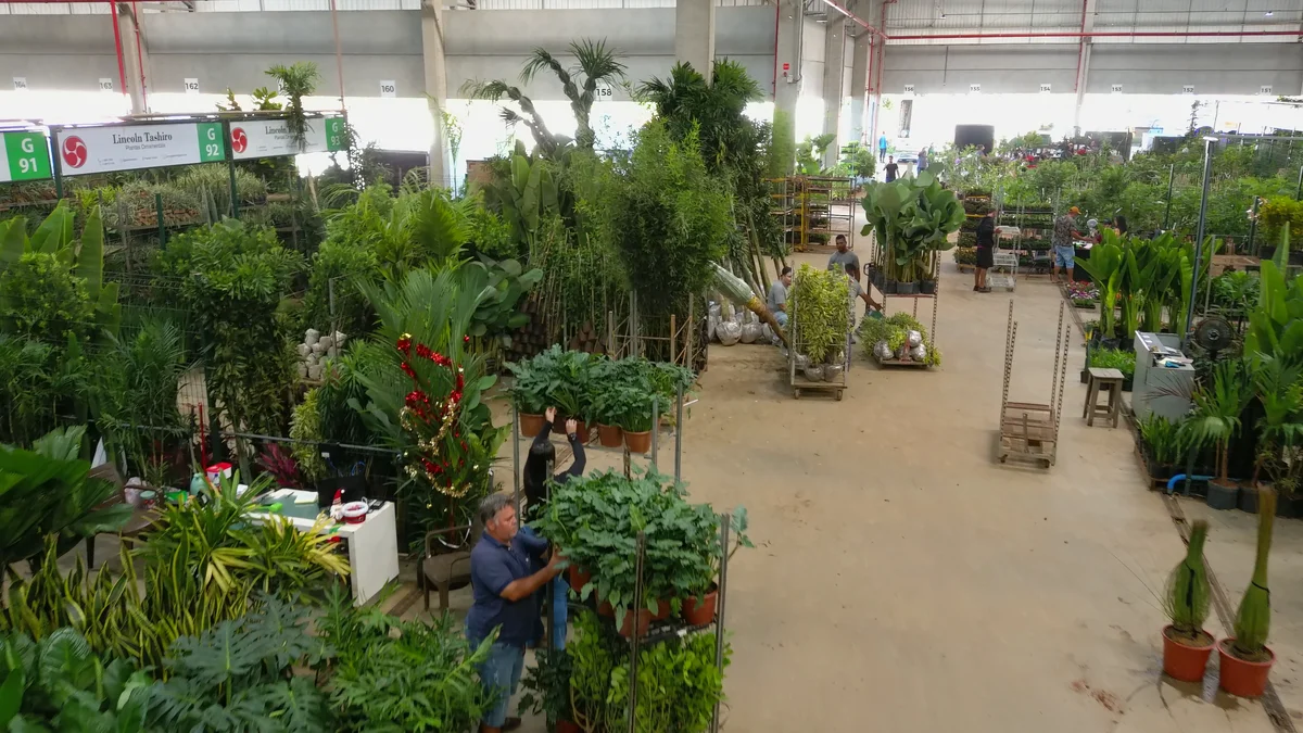 Centro atacadista concentra grande diversidade de plantas ornamentais e insumos técnicos para projetos paisagísticos