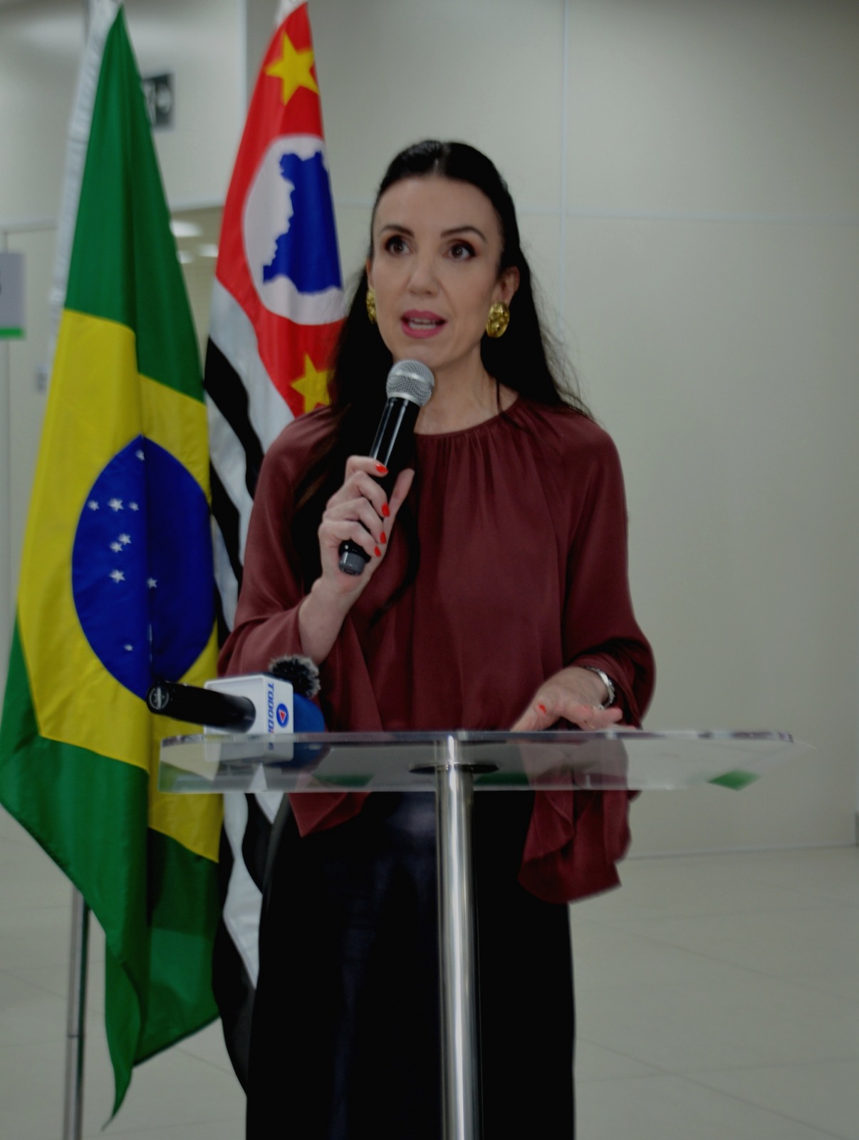 Luciana Jordão, defensora pública-geral do Estado