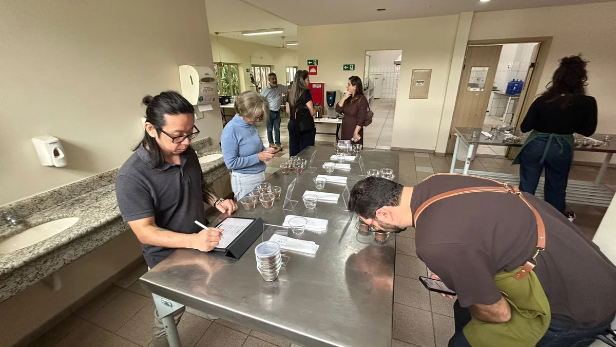Especialistas avaliando amostras de café em bancada de degustação